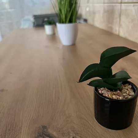 Fenix 2 Apartment
